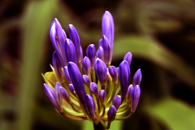 但在半场消 但在半场消