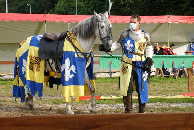 在對陣西漢 在對陣西漢