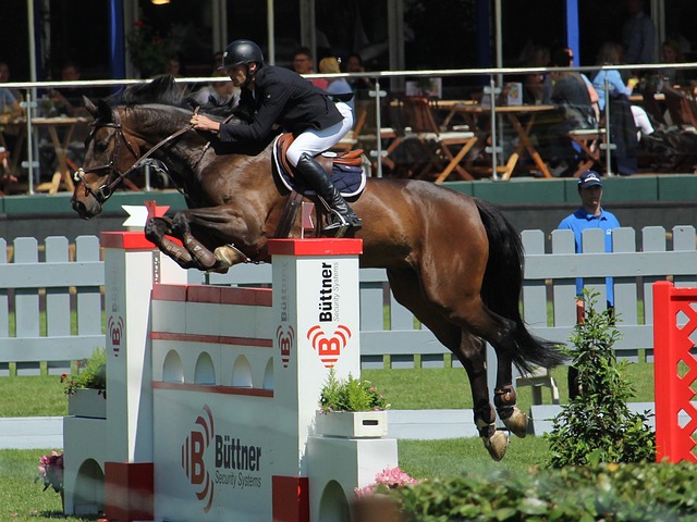 过不懈的努 过不懈的努