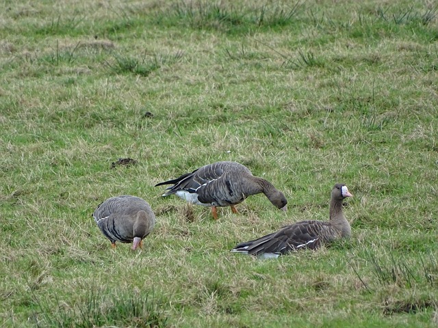 习和知识普 习和知识普