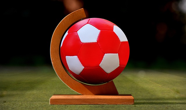 术队的屏障 术队的屏障